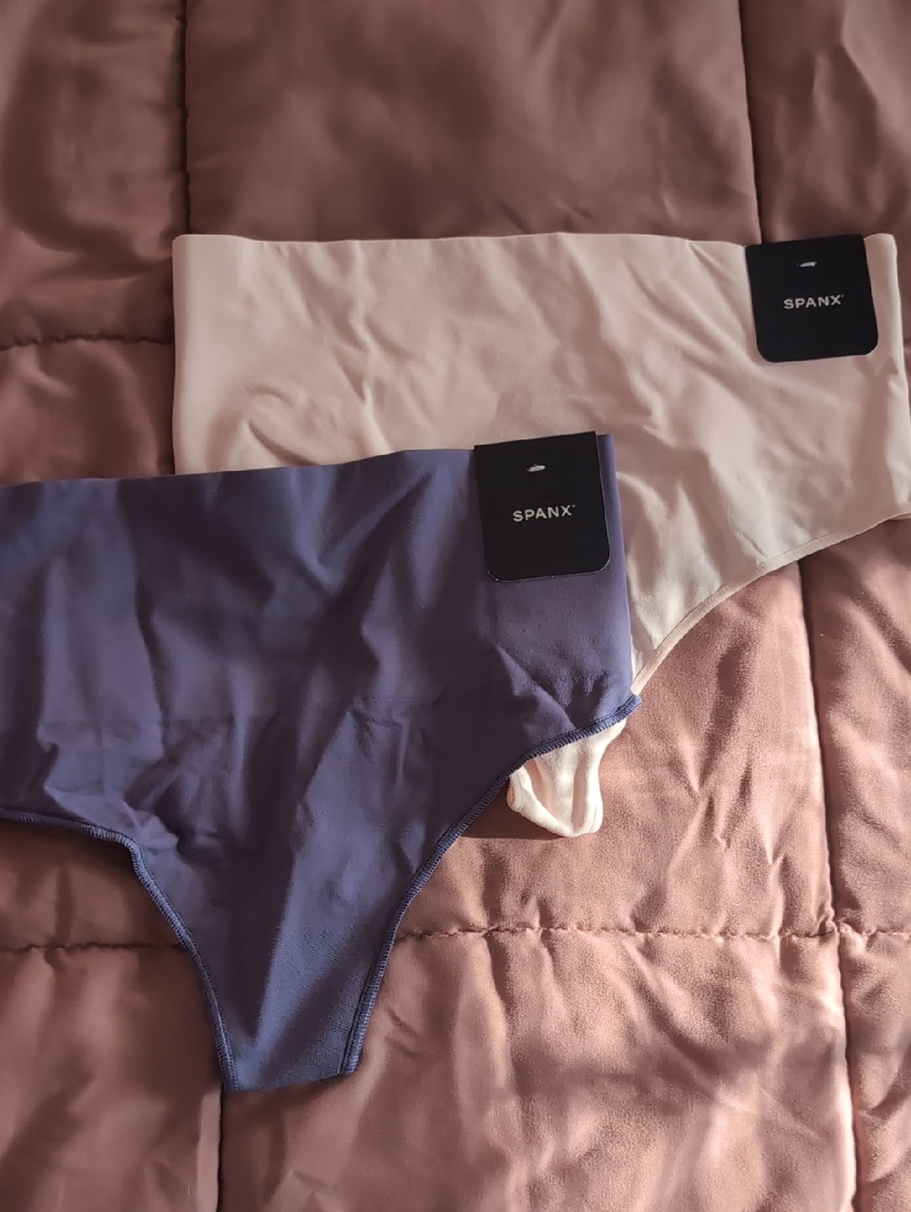 SPANX Large 2 Pair Seamless Hipster Panties Thong in Blue and Cream
